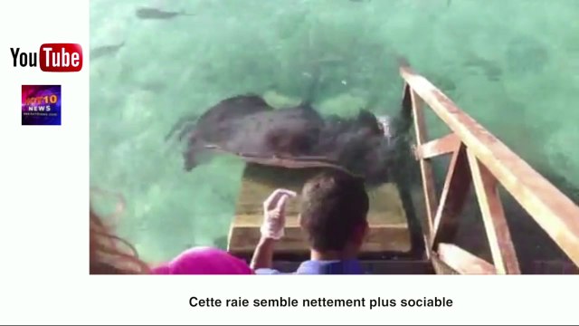 Cycliste miraculé et grenouilles accro à l'Iphone: le zapping insolite