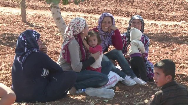 Pedidos de asilo aumentam 24% em 2014