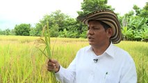 'Crazy' climate forces Colombian farmers to adapt