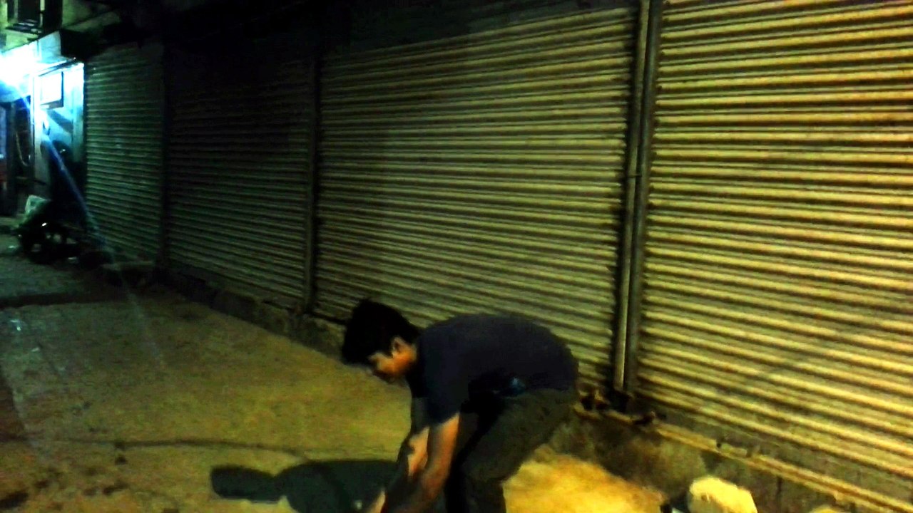 the brave cat haha