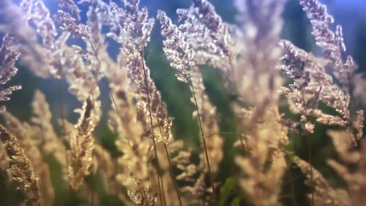 Hugo  Montenegro - Tomorrow's love