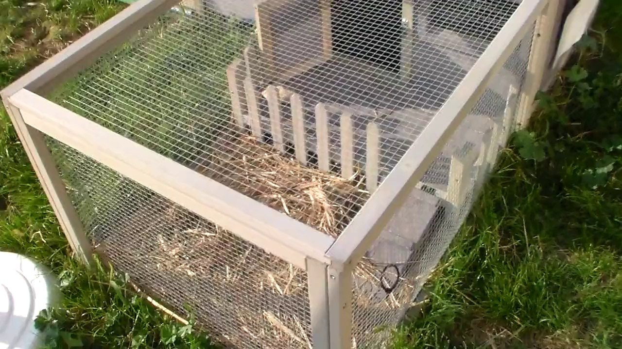 Pour la carotte magique.