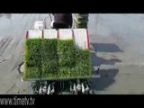 Agriculture technology(rice planting)