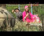 Pashto New Dance Album Tai Da Kabal Janan Jiya Malik 2014  P15