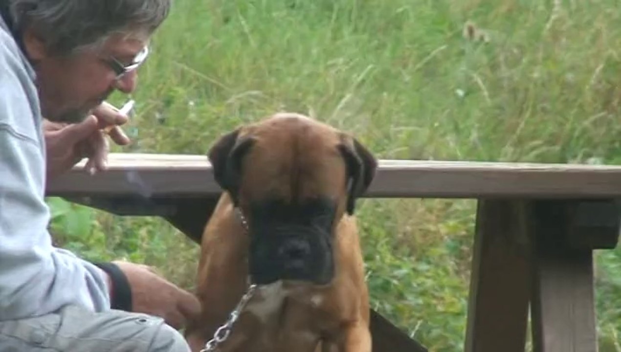 10 les gorges de la loire