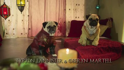 The Pugs of Westeros