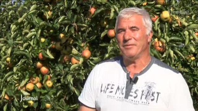 En route pour la cueillette des pommes à Apremont