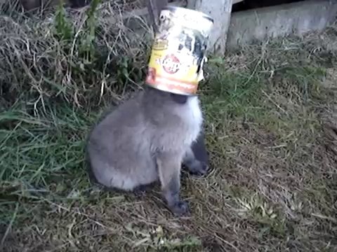 Kendisini tenekeden kurtaran adama böyle teşekkür etti