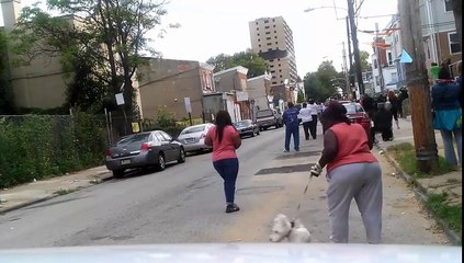 Köpeği Yüzünden Bütün Mevzuyu Kaçıran Bahtsız Kadın