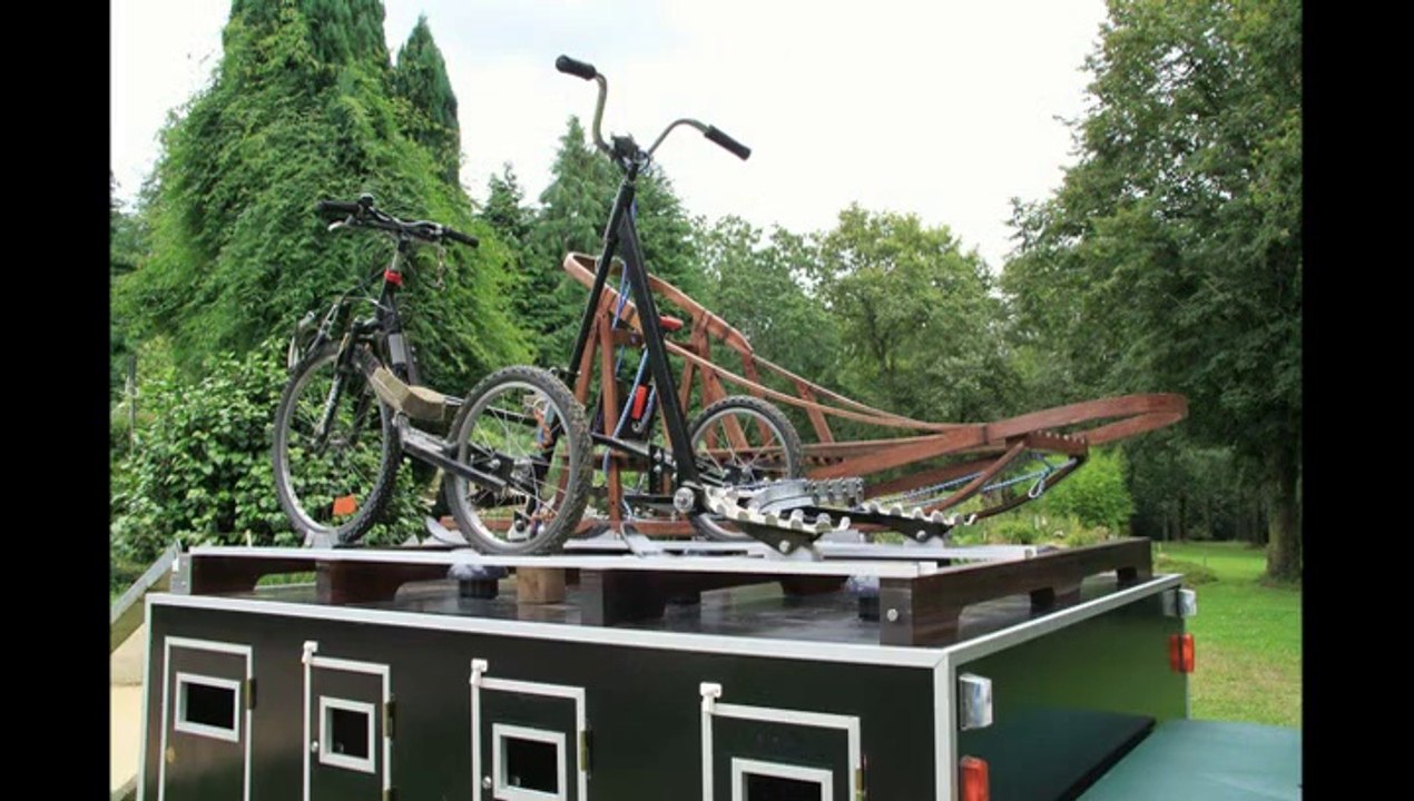 REMORQUE A CHIENS A VENDRE