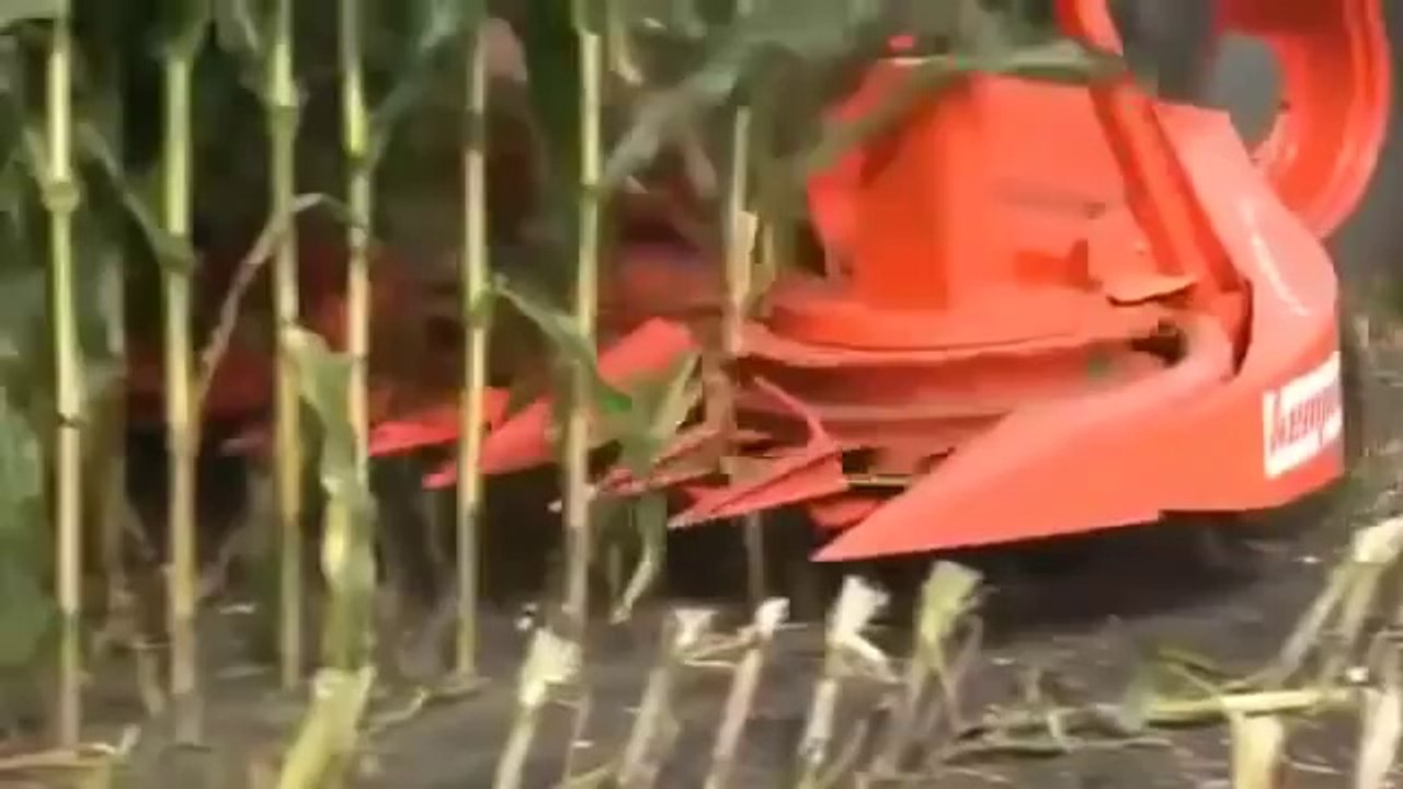 ★Win★ - Amazing agriculture technology
