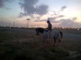 Riding horses(arabian riding)13 minutes ride