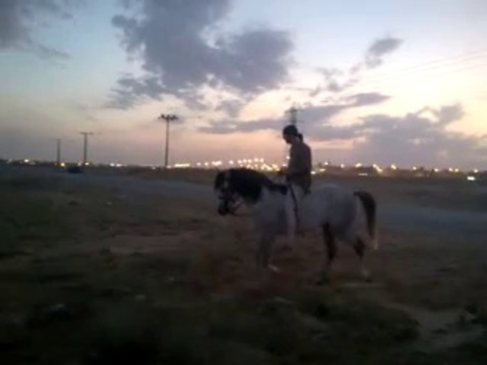 Riding horses(arabian riding)13 minutes ride