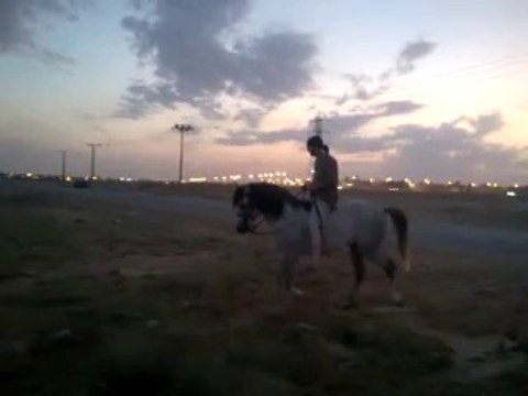 Riding horses(arabian riding)13 minutes ride