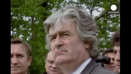 Караджичу грозит пожизненный срок