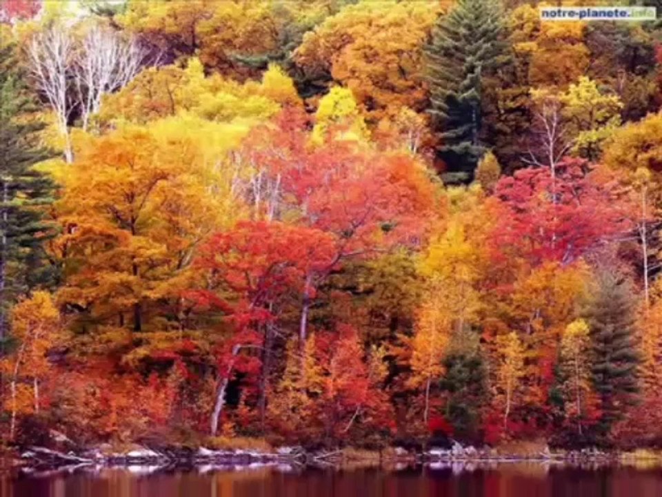 Emisiunea Radio Arthis din 26 septembre 2014 - ro.