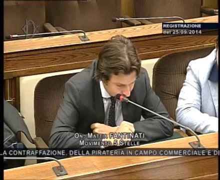 Roma - Audizione Vicepresidente di Confindustria, Lisa Ferrarini. (25.09.14)