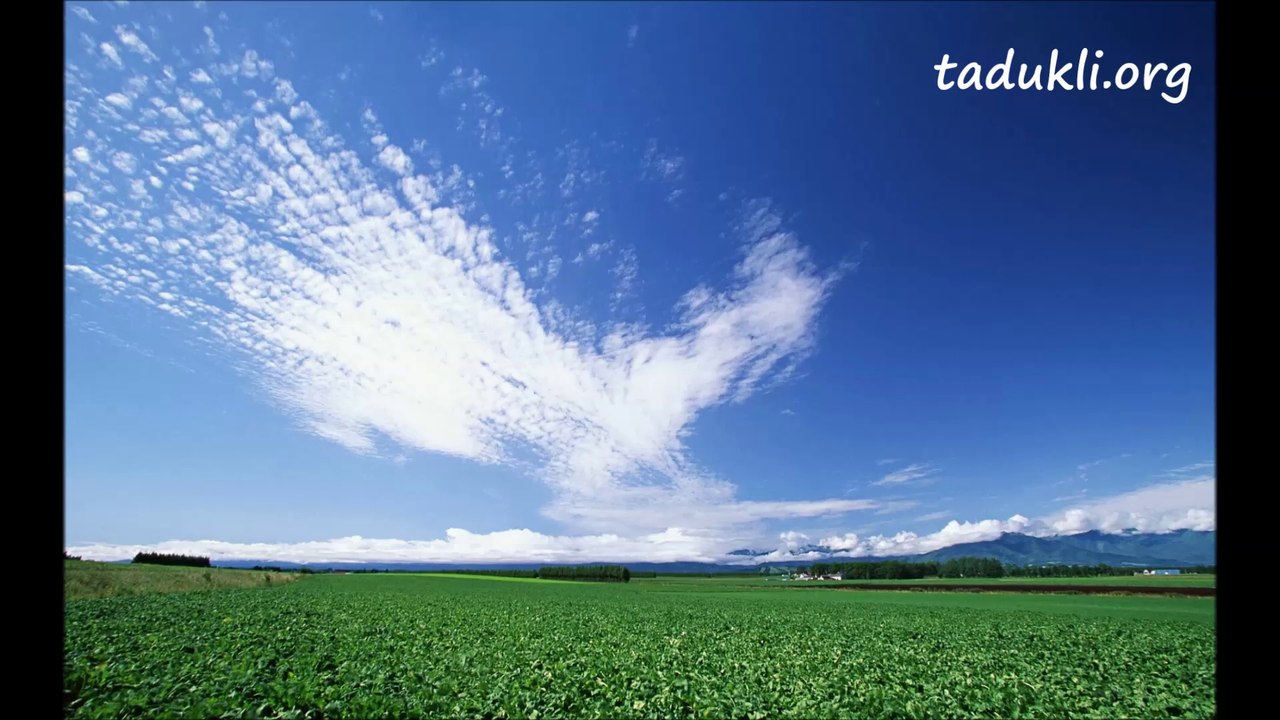 Dalil Omar - Cviɣ afrox imnejli  - Fx Taduki