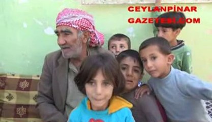 ceylanpınar'da kobani aile yardım bekliyor