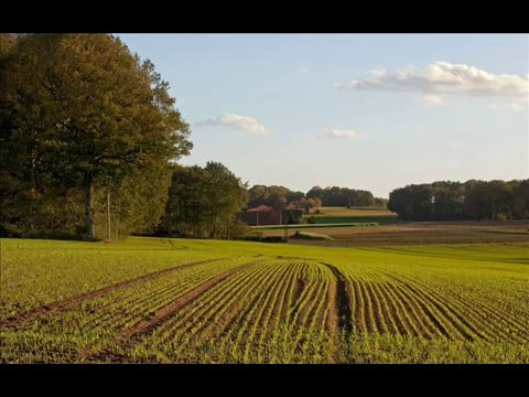 ALAM LOHAR - MIRZA DEKH SHABIR NU ( ALAM LOHAR)