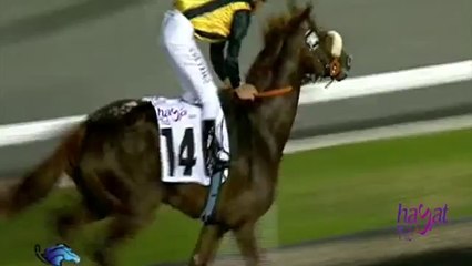 Hayat 95.6 Horse Racing 2014 Trailer in Meydan Dubai