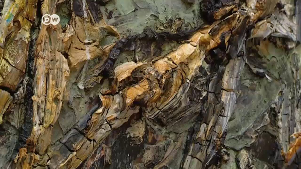 Anselm Kiefer-Ausstellung in London | Journal