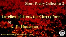 Loveliest of Trees, the Cherry Now by A.E. Housman Free Audio Book Short Poetry Collection 2