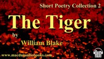 The Tiger by William Blake 2 Free Audio Book Short Poetry Collection 2