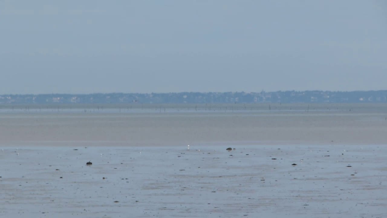 Rentrée au port du bec (85) 21-08-14