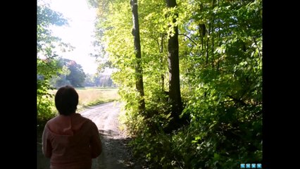 SAINT AUGUSTIN DE DESMAURE promenade en foret