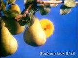1980s TV advertisement ~ Australian Gold Fruit