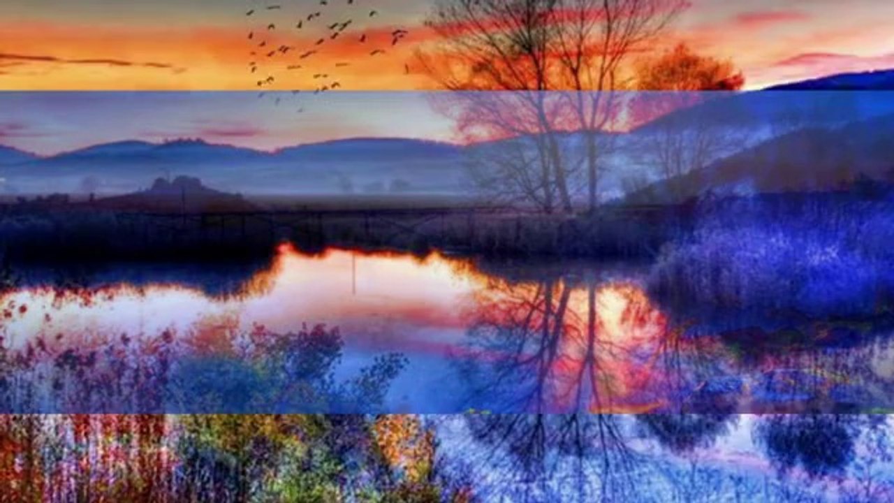 Yavuz Bingöl & Öykü Gürman - Bir Gönüle Aşk Girince