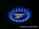 1980s TV advertisement ~ The Beauty of Gas, British Gas