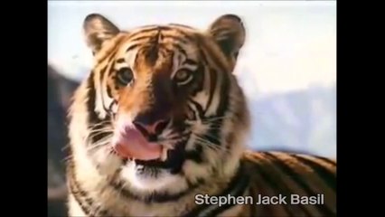 1980s TV advertisement ~ Esso, Free Mixer Glass