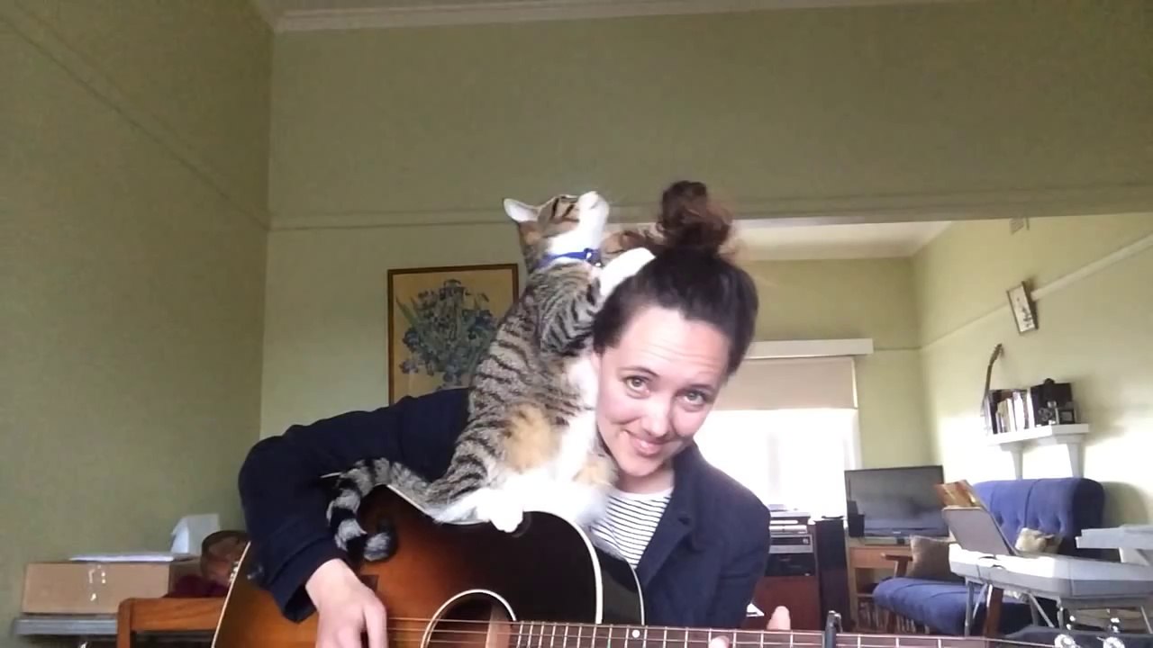 'Loverless' feat. George the cat - Ayleen O'Hanlon