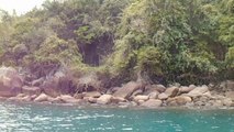 Ilha do Tesouro, nas Ilhas do Litoral Norte, Ubatuba, SP, Brasil, Marcelo Ambrogi, (33)
