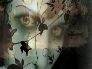 "Evil Voodoo Queen" Featuring Paul Graham on lead guitar