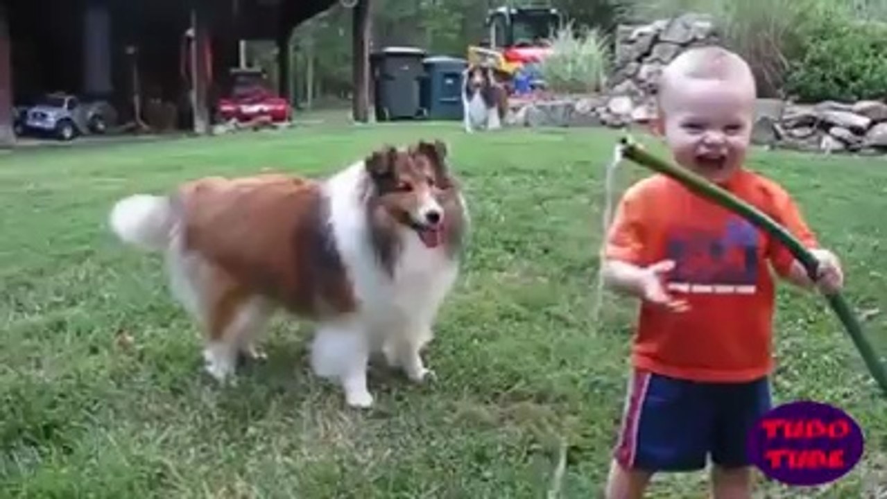 Bebekler ve Hayvanlar