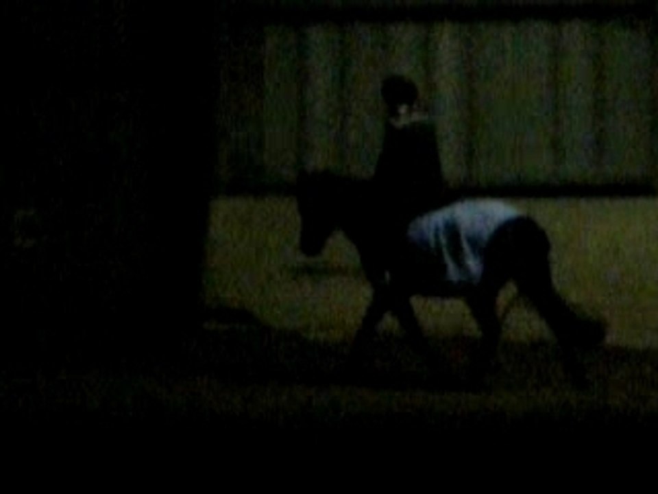 Pas, trot, claire et mikè