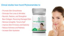 Phytoceramides ~ 100% Pure Anti-Aging, Gluten Free Organic Skin Restoration and Hydration Premium Quality Supplement