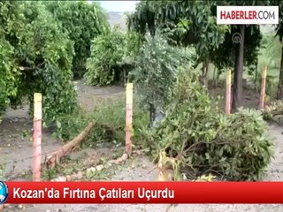 Fırtına Evlere ve Narenciye Bahçelerine Zarar Verdi
