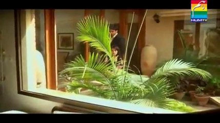 Humsafar (Pakistani Drama) HUM TV (Eposide 2)