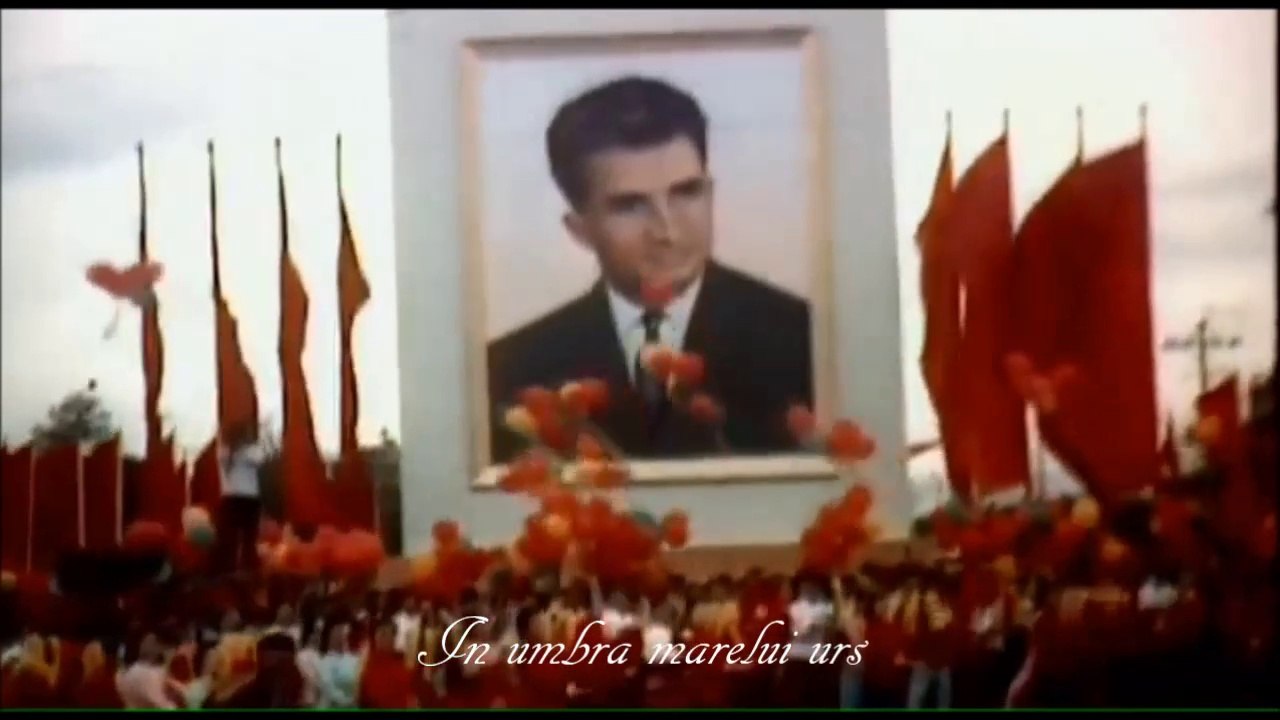 in umbra marelui Urs