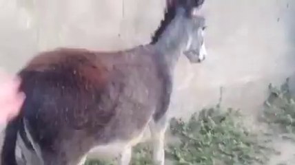 VID-20140927-WA0000
