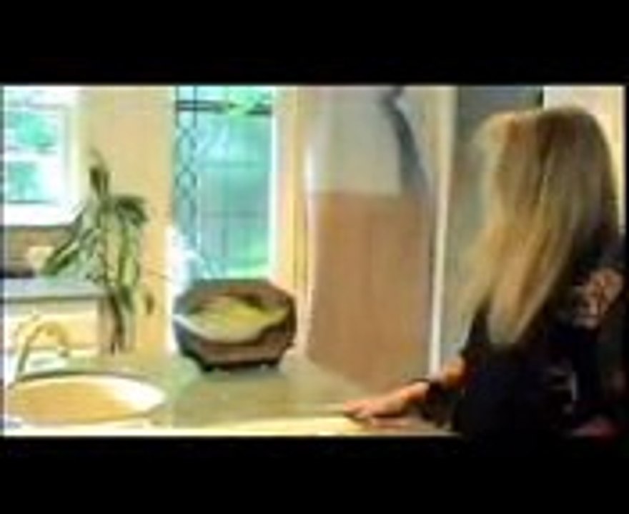 Stevie Nicks Without You  Fleetwood Mac