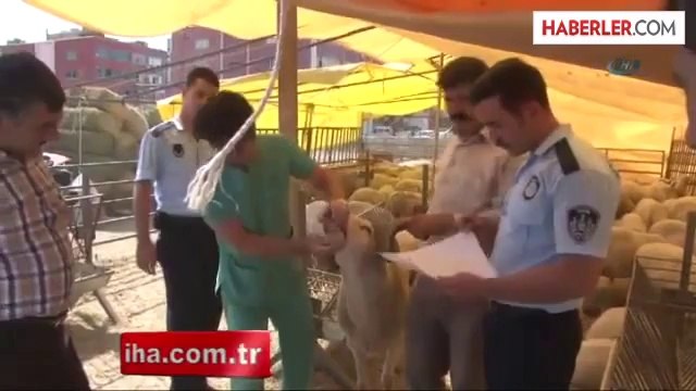 Konak'ta Kaçak Kurban Kesimine Sıkı Denetim