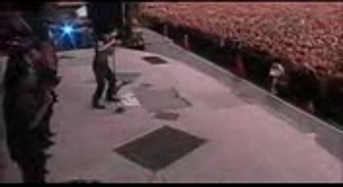 Download Ebook Implementation and Applications of DSL Technology Philip Golden PDF Audiobook