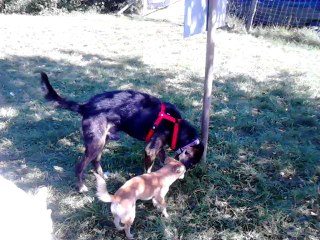 Batman : La liberté retrouvée