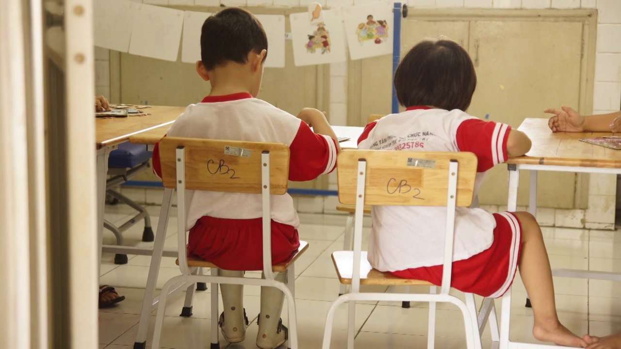 VIÊT NAM _ IHPMO, International Humane Projects Management Office _ Reportage photo-vidéo [ 2014 ]