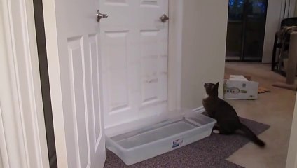 Mulder opening doors